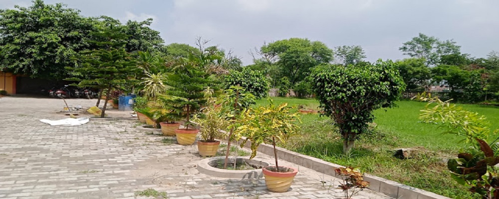 RAMDEV RAMHARSH KISAN P.G.COLLEGE,CHIRAIYAKOT,MAU (U.P.)	