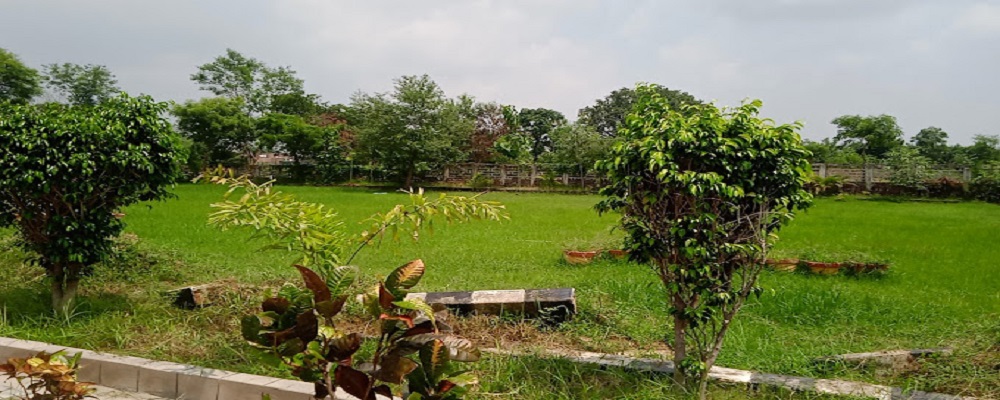 RAMDEV RAMHARSH KISAN P.G.COLLEGE,CHIRAIYAKOT,MAU (U.P.)	